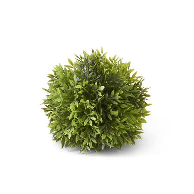 Small Podocarpus Ball