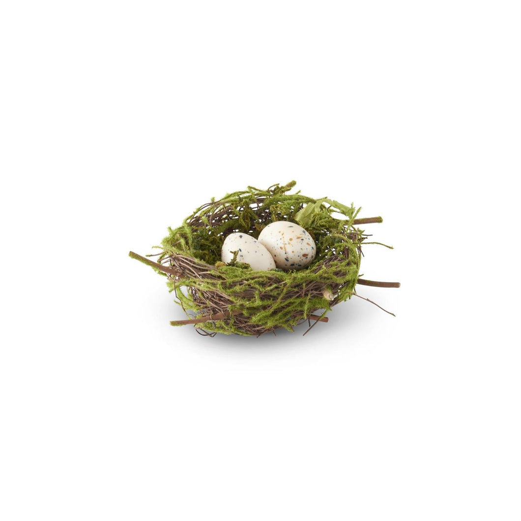 Bird Nest with 2 Eggs