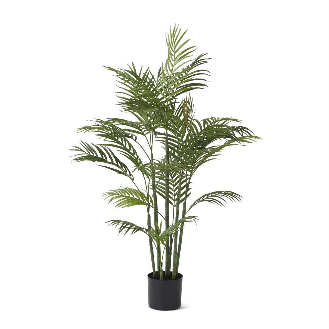 Potted Palm Tree with Faux Dirt 4'