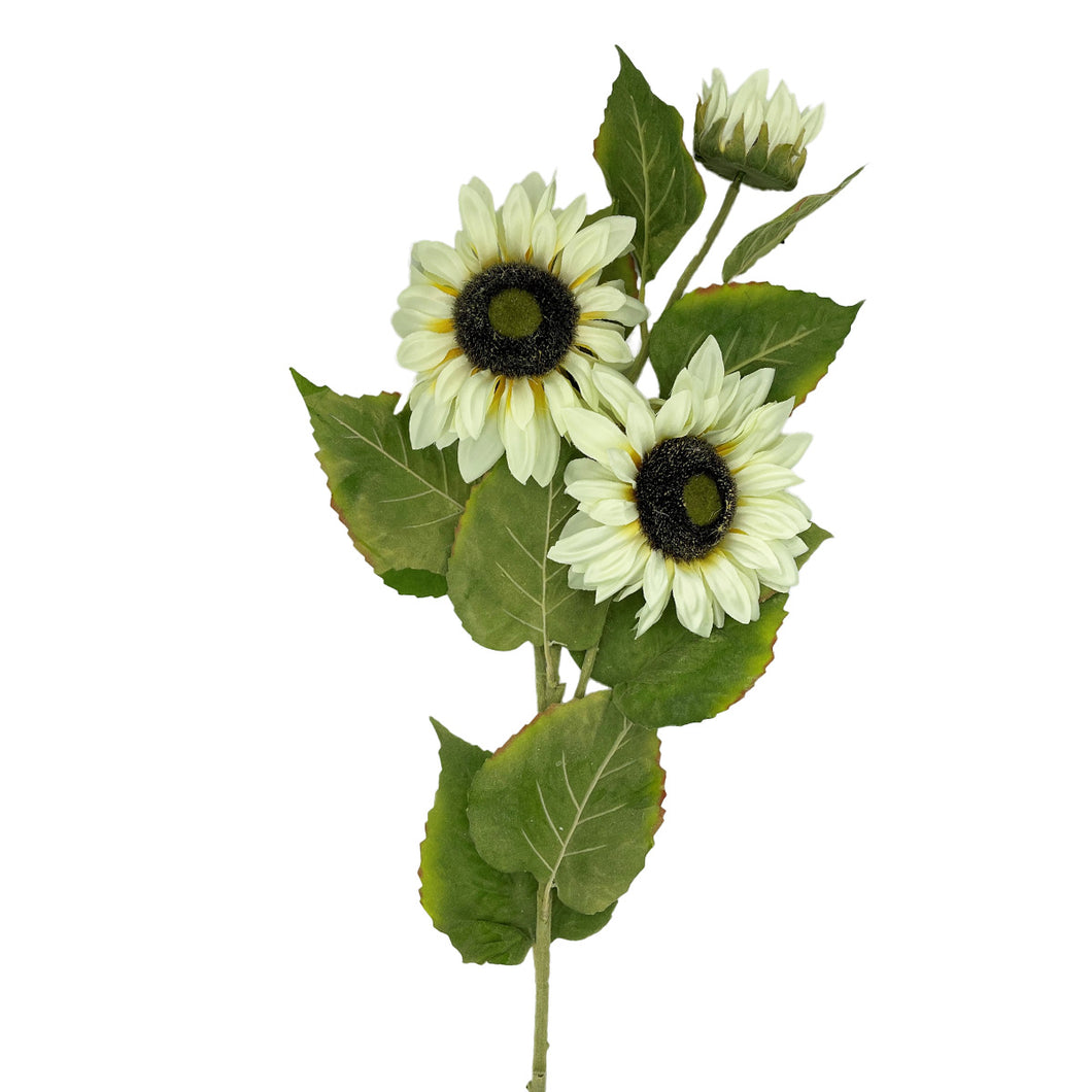 Large Cream Sunflower Stem 39