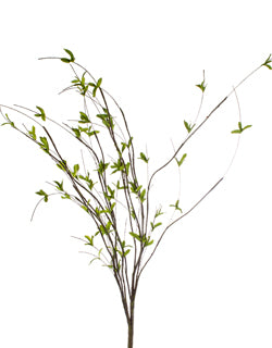 Twig Bush with Green Leaves