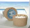 Load image into Gallery viewer, Hillhouse Naturals Seaside Citronella Candle in Hypertufa Pot 32oz
