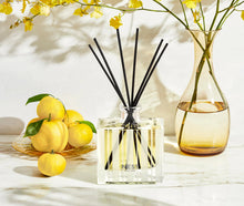 Load image into Gallery viewer, Nest Reed Diffuser Sunlit Yuzu &amp; Neroli
