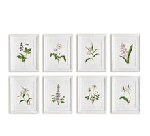 Load image into Gallery viewer, Flowers In Bloom Petite Prints Assorted
