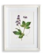 Load image into Gallery viewer, Flowers In Bloom Petite Prints Assorted
