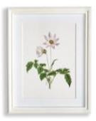 Load image into Gallery viewer, Flowers In Bloom Petite Prints Assorted
