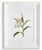 Load image into Gallery viewer, Flowers In Bloom Petite Prints Assorted
