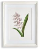 Load image into Gallery viewer, Flowers In Bloom Petite Prints Assorted
