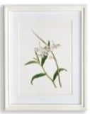 Load image into Gallery viewer, Flowers In Bloom Petite Prints Assorted
