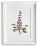 Load image into Gallery viewer, Flowers In Bloom Petite Prints Assorted
