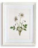 Load image into Gallery viewer, Flowers In Bloom Petite Prints Assorted
