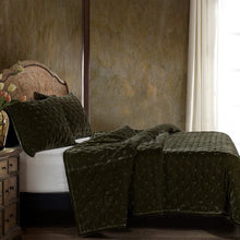 Load image into Gallery viewer, Stella Faux Silk Velvet Quilt Set Fern Green
