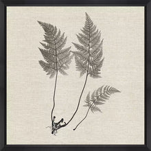 Load image into Gallery viewer, Modern Ferns I
