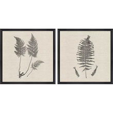 Load image into Gallery viewer, Modern Ferns I

