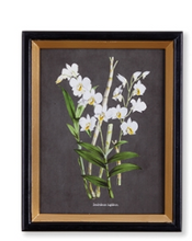 Load image into Gallery viewer, Orchid Study Petite Print Assorted
