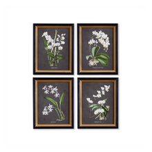 Load image into Gallery viewer, Orchid Study Petite Print Assorted
