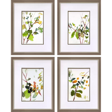 Load image into Gallery viewer, Botanical Reverie Assorted Artwork, 4 Styles
